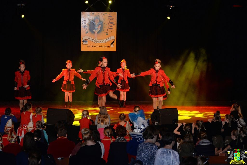 ../Images/Dansmarieke festival 2018 161.jpg